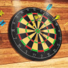 Darts Precision Master gameplay featuring a classic dartboard